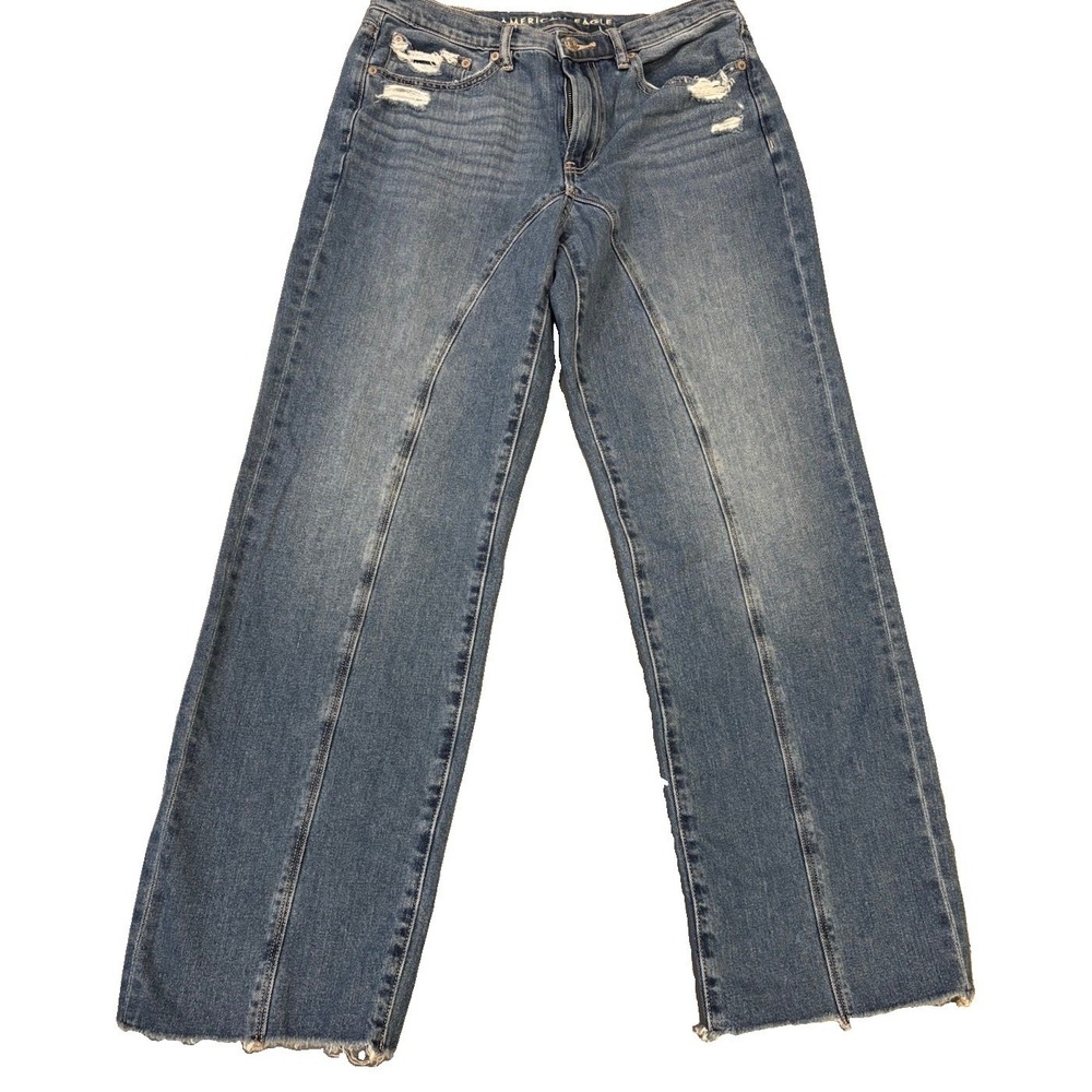 American Eagle Jeans Low Rise Baggy Straight Jeans Women's 6